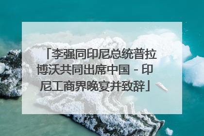 李强同印尼总统普拉博沃共同出席中国－印尼工商界晚宴并致辞