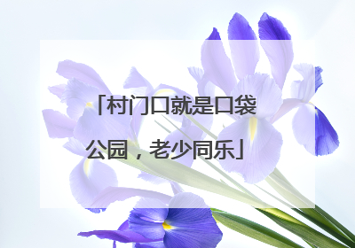 村门口就是口袋公园，老少同乐