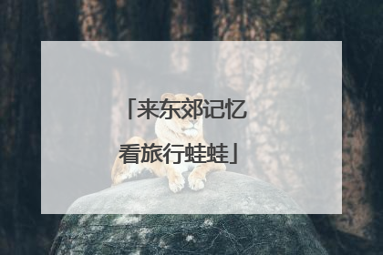 来东郊记忆 看旅行蛙蛙