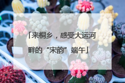 来桐乡，感受大运河畔的“宋韵”端午