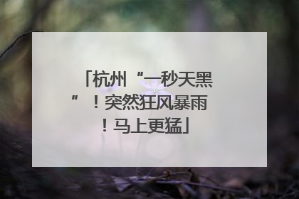 杭州“一秒天黑”！突然狂风暴雨！马上更猛