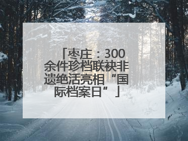 枣庄：300余件珍档联袂非遗绝活亮相“国际档案日”