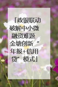 政银联动破解中小微融资难题 金塘创新“年报+信用贷”模式