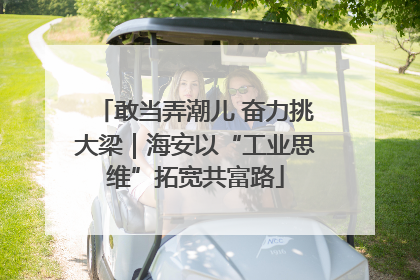 敢当弄潮儿 奋力挑大梁｜海安以“工业思维”拓宽共富路