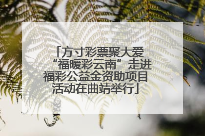 方寸彩票聚大爱 “福暖彩云南”走进福彩公益金资助项目活动在曲靖举行