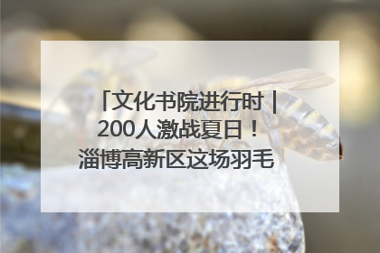 文化书院进行时｜200人激战夏日！淄博高新区这场羽毛球比赛太酷