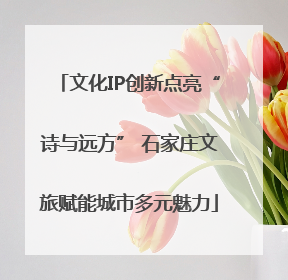 文化IP创新点亮“诗与远方” 石家庄文旅赋能城市多元魅力