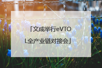 文成举行eVTOL全产业链对接会