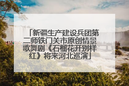 新疆生产建设兵团第二师铁门关市原创情景歌舞剧《石榴花开别样红》将来河北巡演