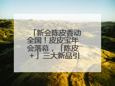 新会陈皮香动全国！皮皮宝年会落幕，「陈皮＋」三大新品引领产业升级