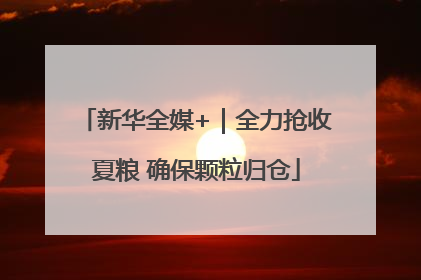 新华全媒+｜全力抢收夏粮 确保颗粒归仓