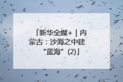 新华全媒+｜内蒙古：沙海之中建“蓝海”(2)