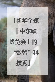 新华全媒+丨中东欧博览会上的“数智”科技秀