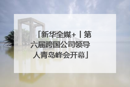 新华全媒+丨第六届跨国公司领导人青岛峰会开幕
