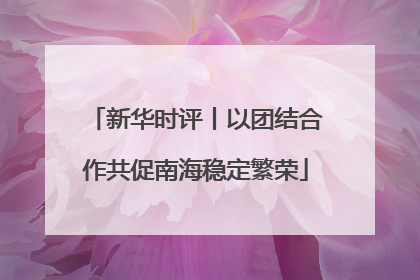 新华时评丨以团结合作共促南海稳定繁荣
