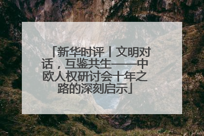 新华时评丨文明对话，互鉴共生——中欧人权研讨会十年之路的深刻启示