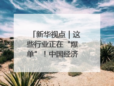 新华视点｜这些行业正在“爆单”！中国经济活力密码