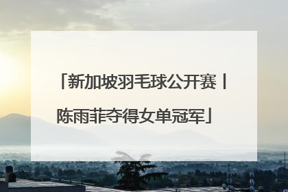 新加坡羽毛球公开赛丨陈雨菲夺得女单冠军