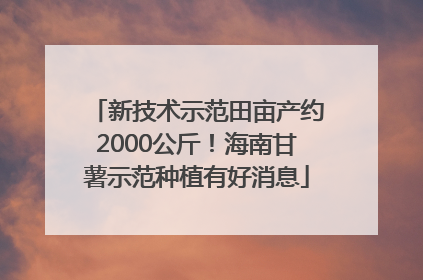 新技术示范田亩产约2000公斤！海南甘薯示范种植有好消息