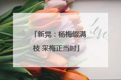 新晃：杨梅缀满枝 采梅正当时