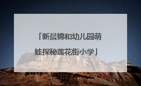 新晨锦和幼儿园萌娃探秘莲花街小学