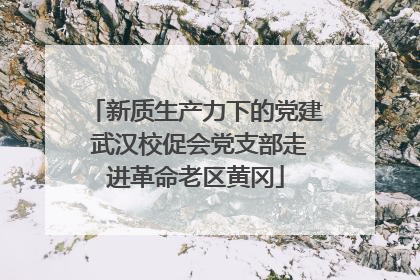 新质生产力下的党建 武汉校促会党支部走进革命老区黄冈
