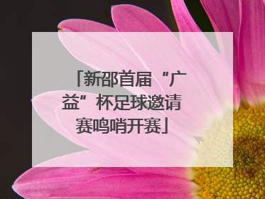 新邵首届“广益”杯足球邀请赛鸣哨开赛