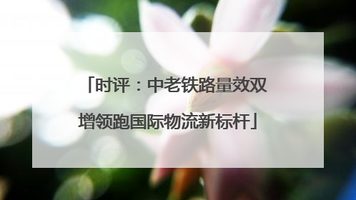 时评：中老铁路量效双增领跑国际物流新标杆