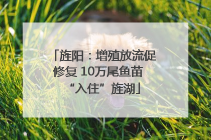 旌阳：增殖放流促修复 10万尾鱼苗“入住”旌湖