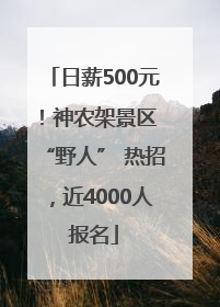 日薪500元！神农架景区 “野人” 热招，近4000人报名