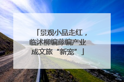 景观小品走红，临沭柳编藤编产业成文旅“新宠”