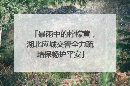 暴雨中的柠檬黄，湖北应城交警全力疏堵保畅护平安