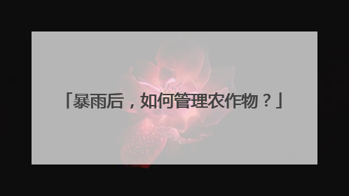 暴雨后，如何管理农作物？