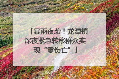 暴雨夜袭！龙潭镇深夜紧急转移群众实现“零伤亡”