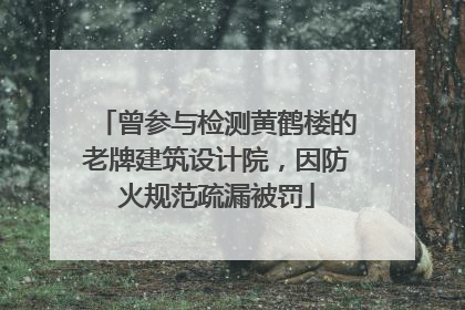 曾参与检测黄鹤楼的老牌建筑设计院，因防火规范疏漏被罚