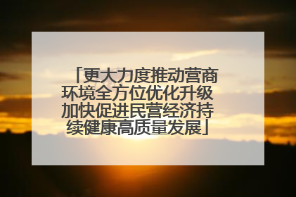 更大力度推动营商环境全方位优化升级加快促进民营经济持续健康高质量发展