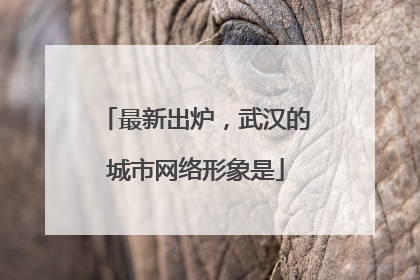 最新出炉，武汉的城市网络形象是