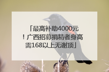 最高补助4000元！广西招募捐精者身高需168以上无谢顶