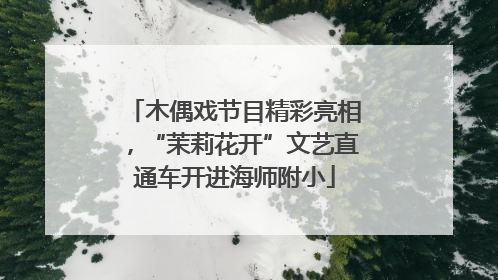木偶戏节目精彩亮相，“茉莉花开”文艺直通车开进海师附小