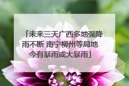 未来三天广西多地强降雨不断 南宁柳州等局地今有暴雨或大暴雨