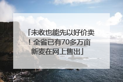 未收也能先以好价卖！全省已有70多万亩新麦在网上售出