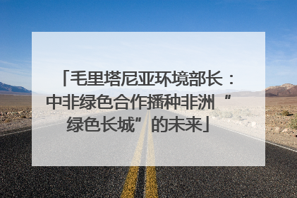毛里塔尼亚环境部长：中非绿色合作播种非洲“绿色长城”的未来
