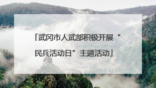 武冈市人武部积极开展“民兵活动日”主题活动