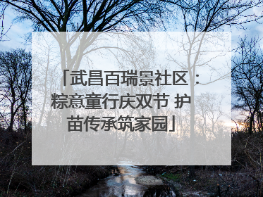 武昌百瑞景社区：粽意童行庆双节 护苗传承筑家园