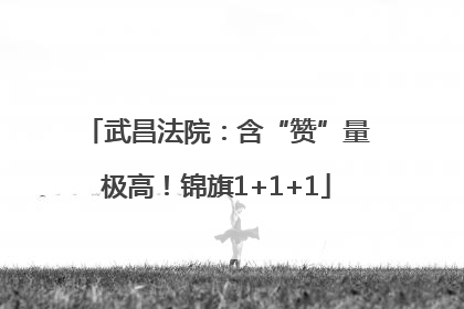 武昌法院：含“赞”量极高！锦旗1+1+1