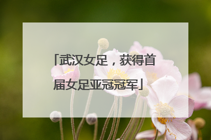 武汉女足，获得首届女足亚冠冠军