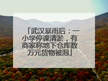 武汉暴雨后：一小学停课清淤，有商家称地下仓库数万元货物被泡