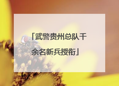 武警贵州总队千余名新兵授衔