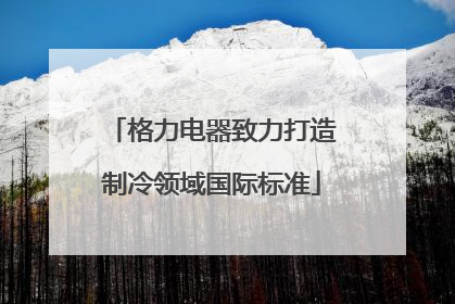 格力电器致力打造制冷领域国际标准