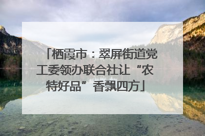 栖霞市：翠屏街道党工委领办联合社让“农特好品”香飘四方